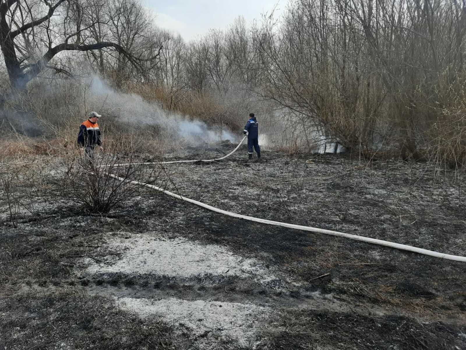 В Башкирии из-за сложной пожарной обстановки вводится запрет на посещение лесов