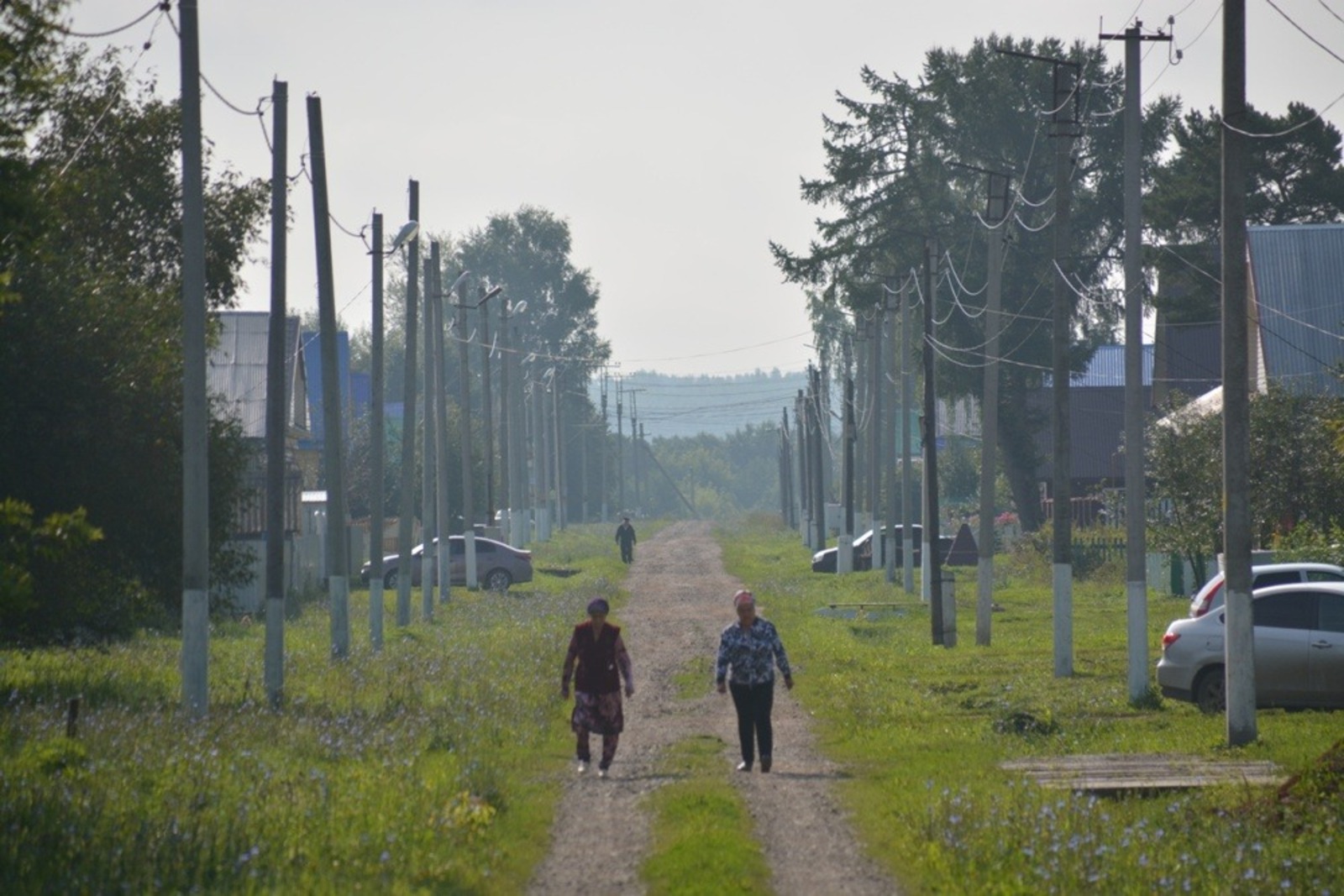 Ильдар Шарипов  Старый Куюк (Янаульский район)