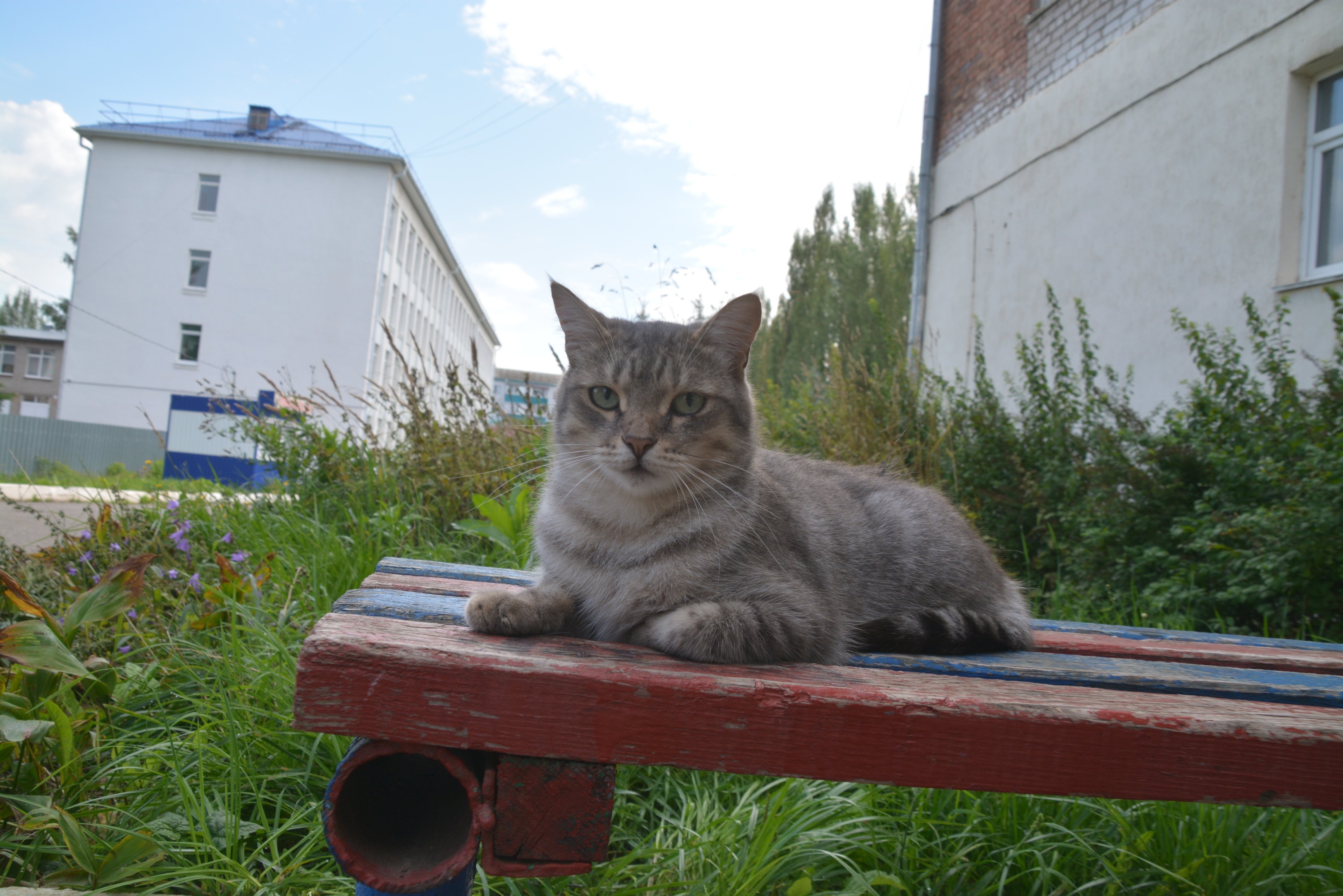 В Башкирию возвращается летняя жара