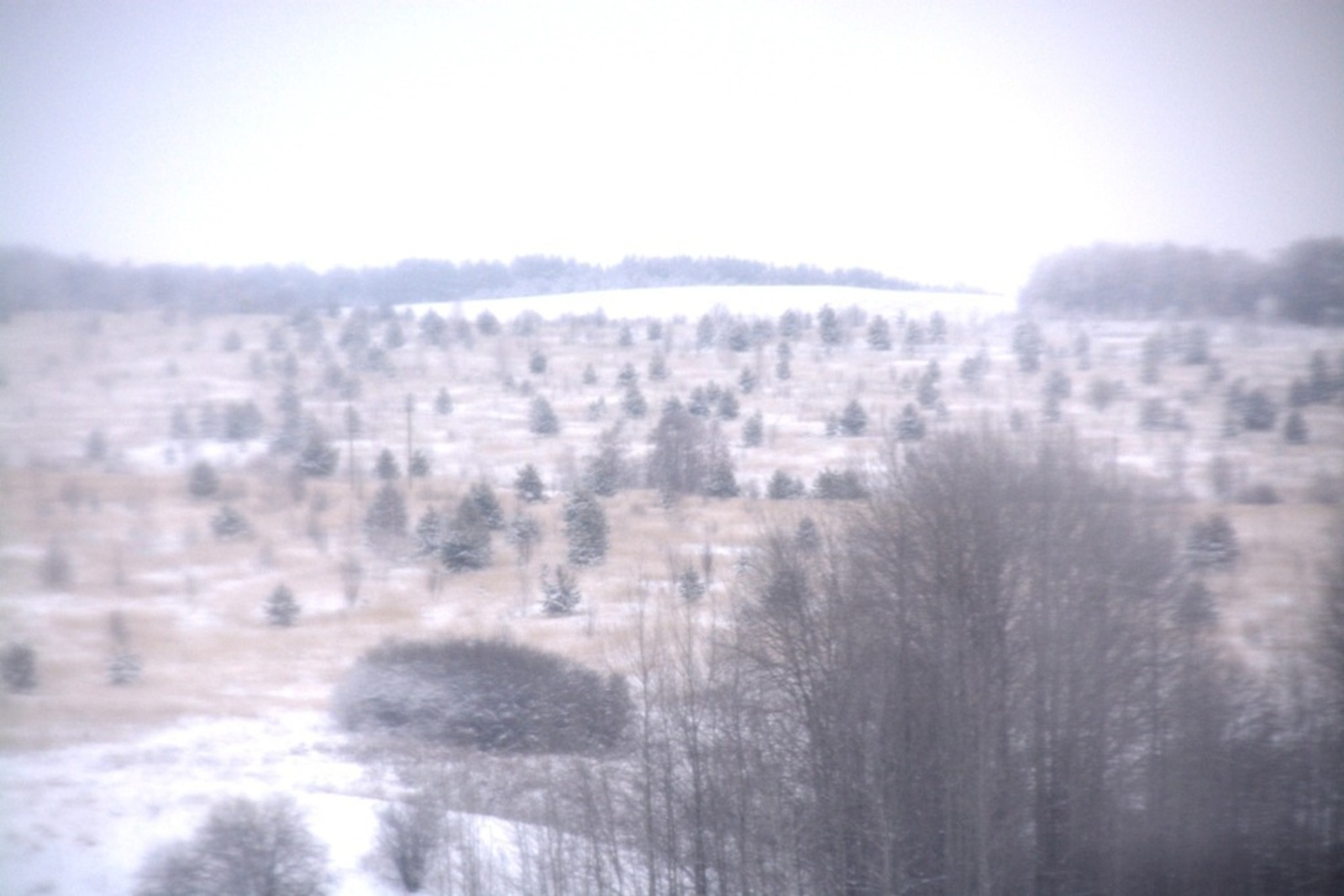 Ильдар Шарипов  Зима в Янаульском районе