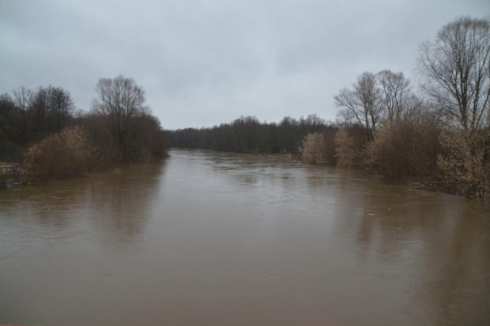 Ильдар Шарипов  Река Буй в разливе