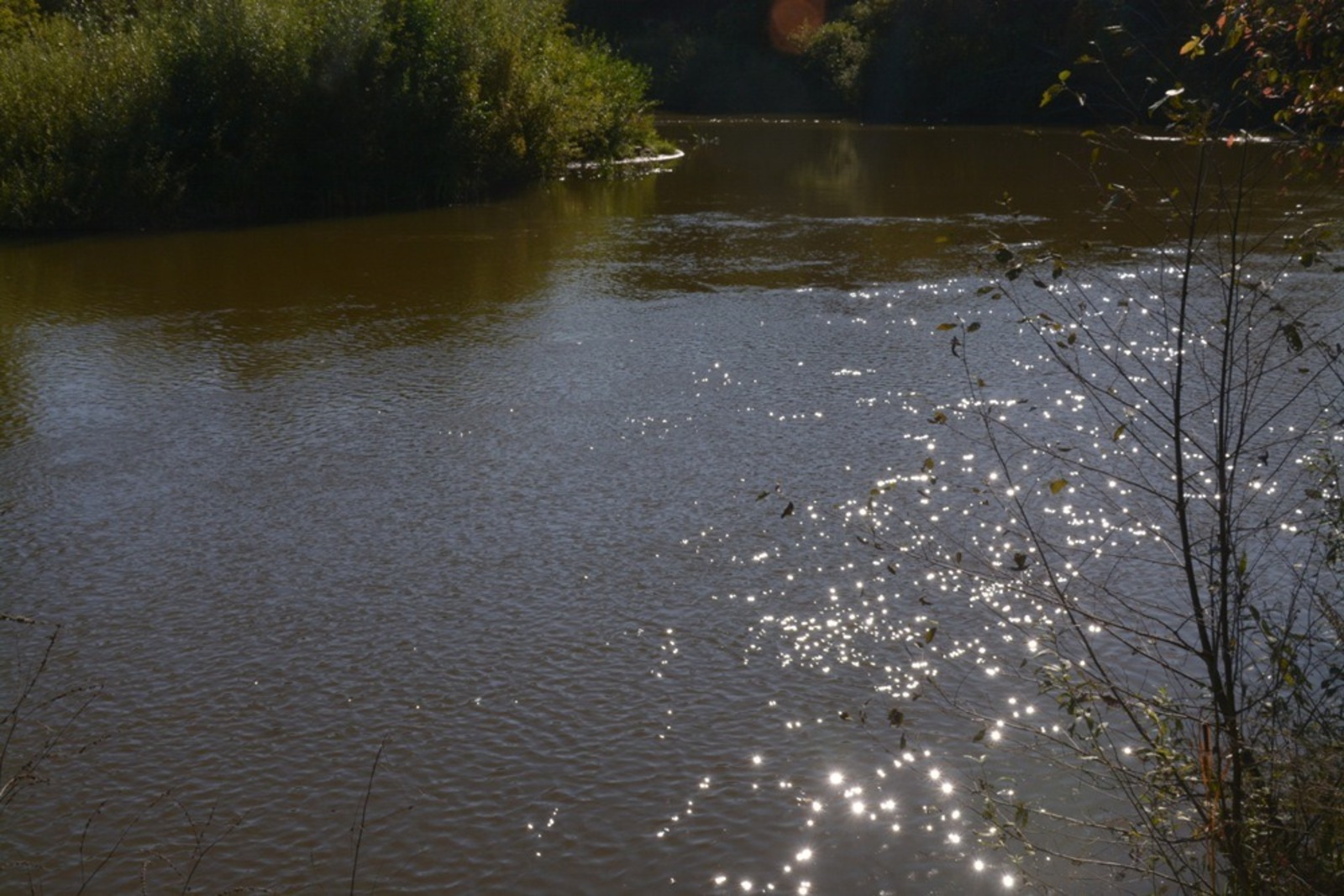 Ильдар Шарипов  Река Буй, Янаульский район