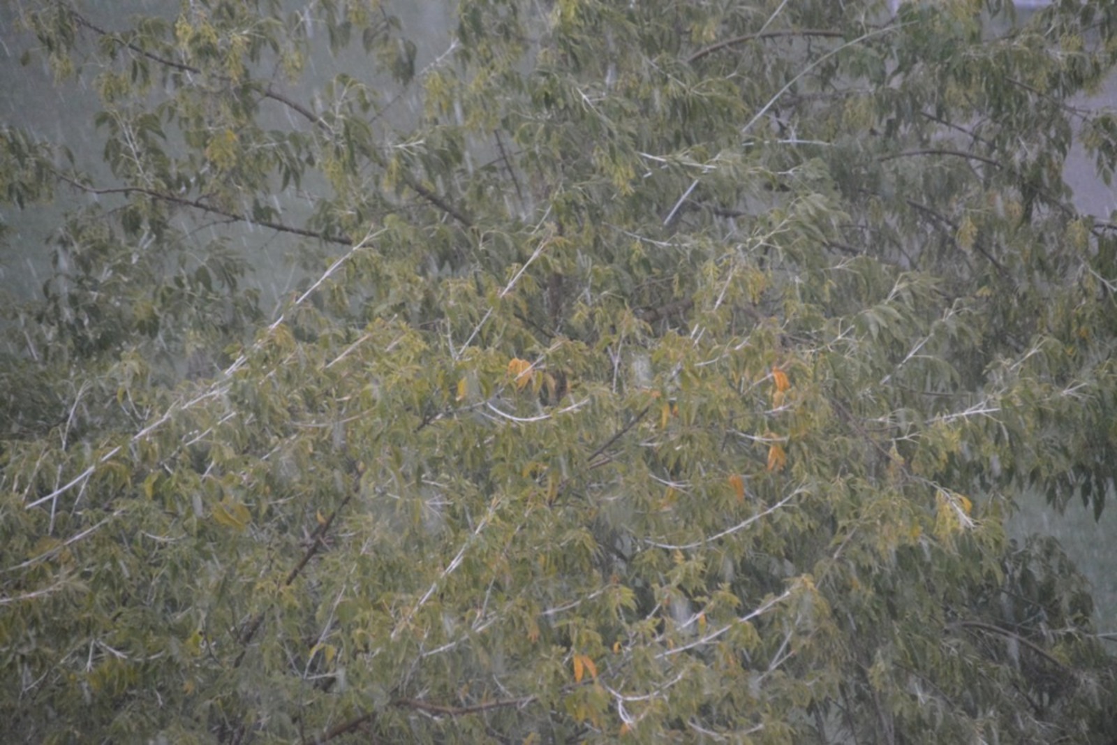 Ильдар Шарипов  Непогода в Янауле